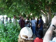 Terra Santa 2005 Immagine